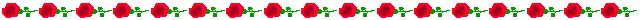 rdrsbar.gif